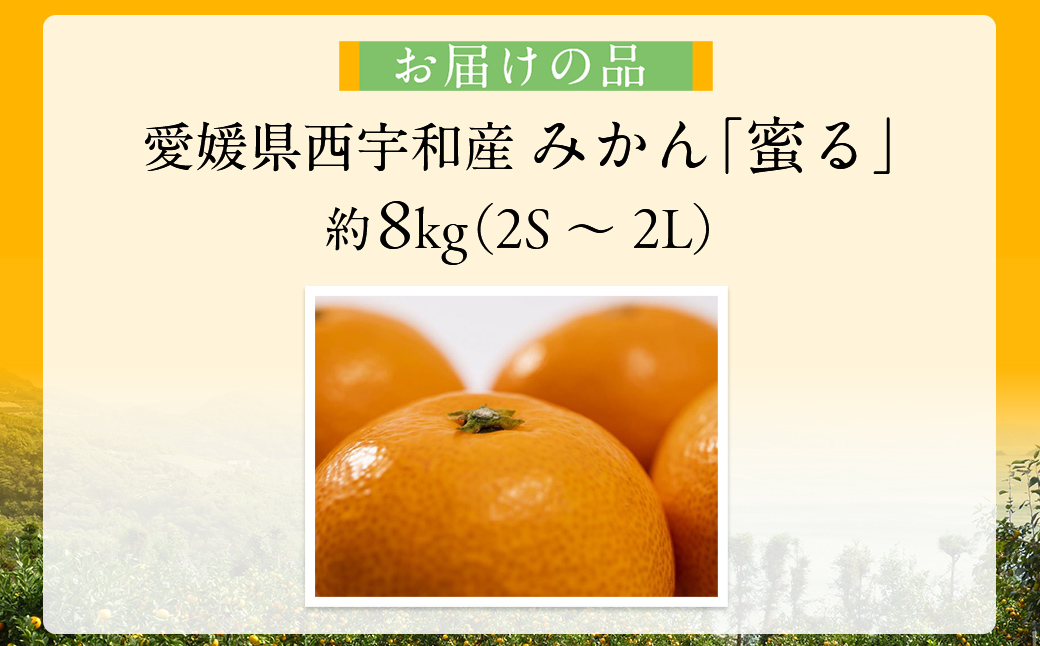 JAにしうわ みつる共選 「蜜る」8kg（2S～2L）4kg×2箱※離島への配送不可（2026年11月中旬より順次発送予定） IKTBC013