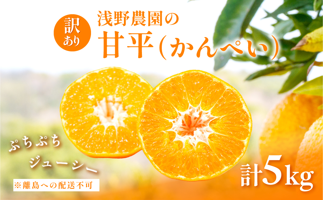 【先行予約】【数量限定】【訳あり】浅野農園の甘平（かんぺい）5kg ※離島への配送不可（2026年2月中旬頃より順次発送予定） IKTAC028