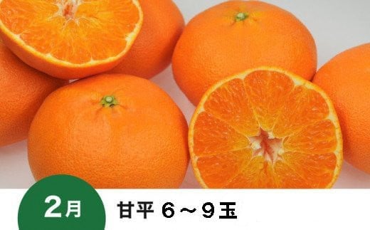 【愛媛県共通返礼品】【定期便】愛媛の柑橘定期便（全6回）（日の丸みかん・紅まどんな・いよかん・甘平・せとか・河内晩柑） ※2024年11月～2025年4月に毎月1回発送予定◇