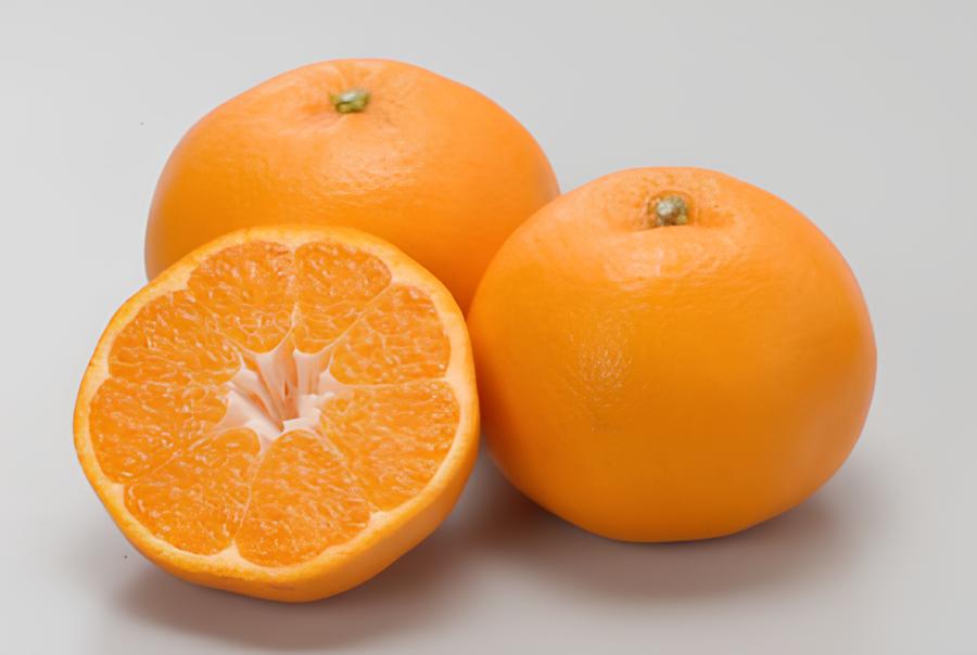 【先行予約】【数量限定】はるみ（生果5kg）※離島への配送不可（2026年1月下旬より順次発送予定） IKTBD009