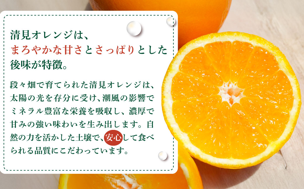 【訳あり】清見オレンジ 約10kg ※離島への配送不可 IKTAU011