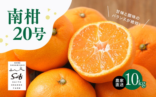 【先行予約】Saito Orange Farmの南柑20号10kg ｜ 温州みかん 代表 柑橘 みかん ミカン フルーツ  果物 愛媛　※離島への配送不可　※2024年12月上旬頃より順次発送予定