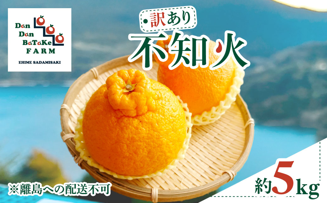【先行予約】【訳あり】不知火 約5kg　※2027年2月下旬より順次発送予定 IKTAU016