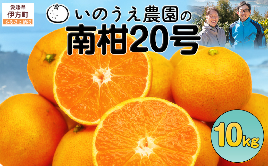 【先行予約】いのうえ農園の南柑20号 10kg ※離島への配送不可（2025年12月上旬より順次発送） IKTAI007