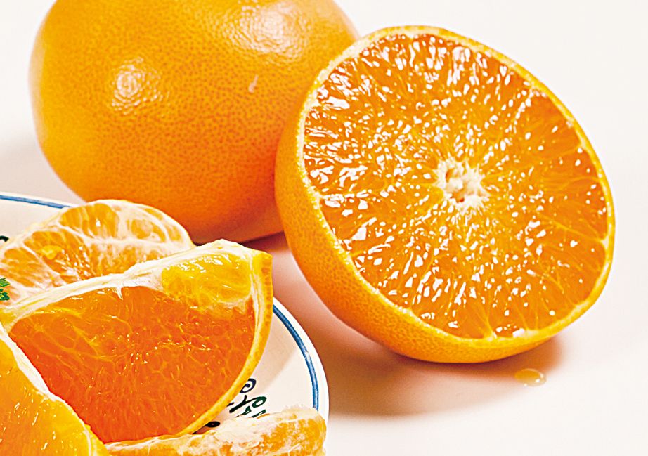 ãå
è¡äºçŽãç£å°çŽéïŒæåªçç£ããšãïŒèš³ããïŒ 3kgïŒ2026幎2æäžæ¬ããçºéäºå®ïŒ IKTF005