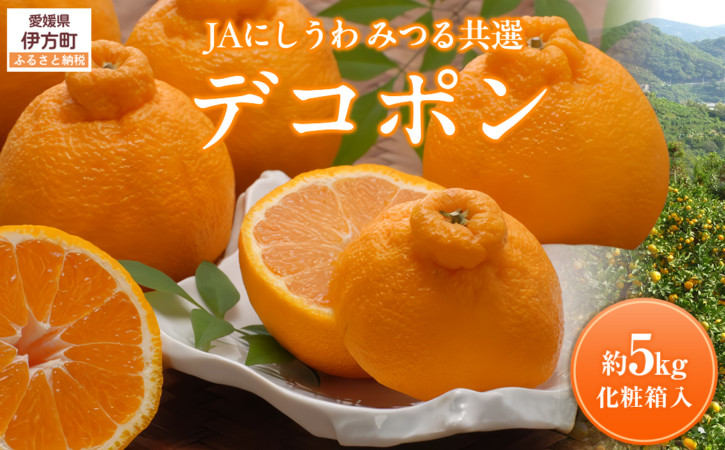 【先行予約】【数量限定】JAにしうわ みつる共選 デコポン 約5kg（化粧箱）※離島への配送不可（2026年2月中旬より順次発送予定） IKTBC008