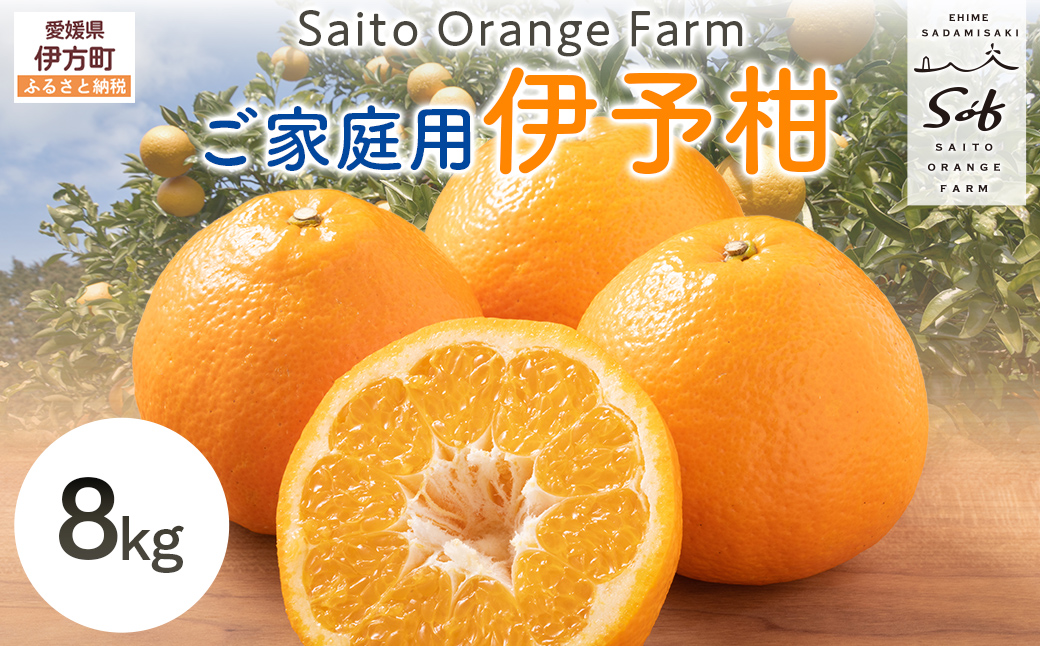 【先行予約】Saito Orange Farm ご家庭用 伊予柑8kg （2027年1月中旬頃より順次発送予定） IKTAQ028