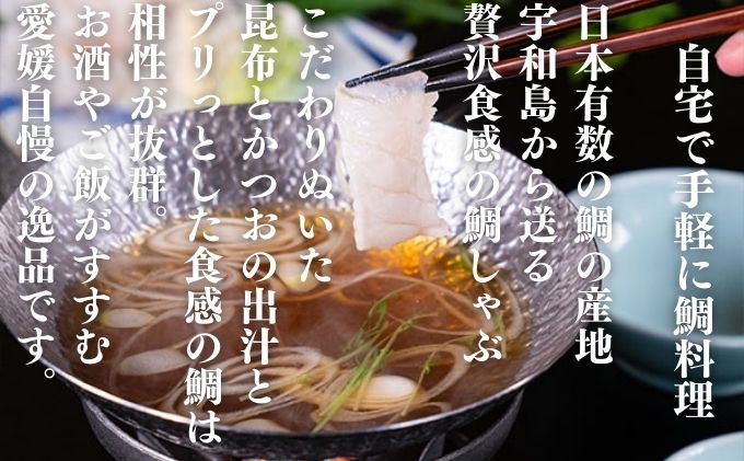 宇和海産真鯛の鯛しゃぶセット（3人前）冷凍 刺身 惣菜 鍋|JALふるさと