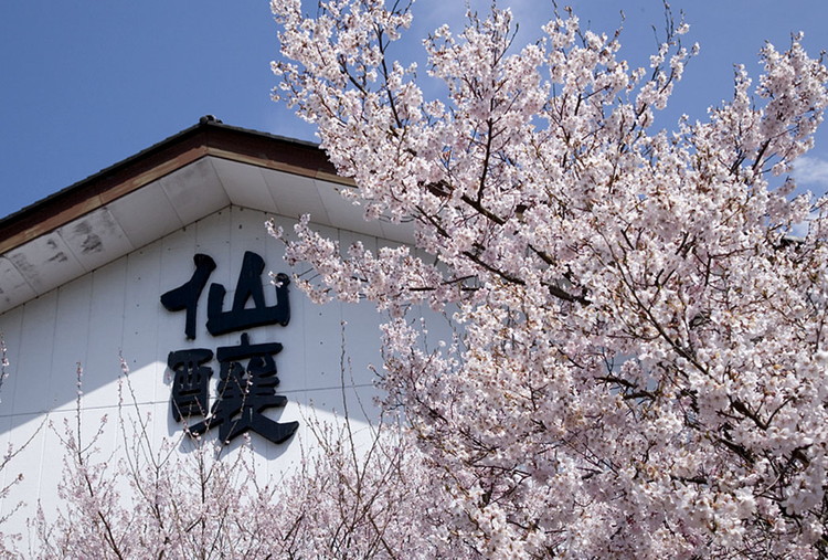 どぶとゆず 600ml×6本（計3.6L）｜ ふるさと納税 お酒 アルコール ドリンク おうち時間 BBQ 宅飲み 晩酌 お取り寄せ ギフト 父の日 母の日 柚子 ユズ ※離島への配送不可