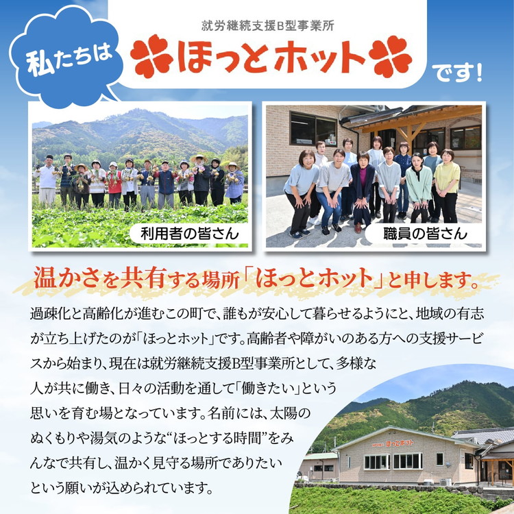 【家庭用】【訳あり】干し芋 500g（1袋） ｜ 個包装 国産 サツマイモ さつまいも 紅はるか 保存料なし 添加物なし スイーツ 愛媛県 鬼北町 ほっとホット ※北海道・沖縄・離島への配送不可