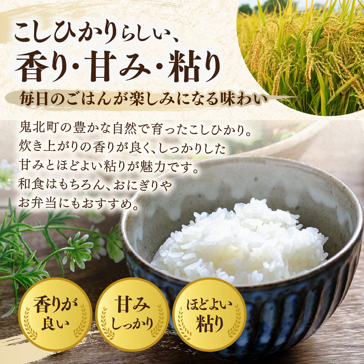 【先行予約】【令和8年産】鬼北町産 中平ファーム こしひかり 10kg （5kg×2袋）【米屋仕上げ】| R8年産 新米 精米 白米 ご飯 米 コシヒカリ お米のまつや 株式会社ドイ 愛媛県鬼北町