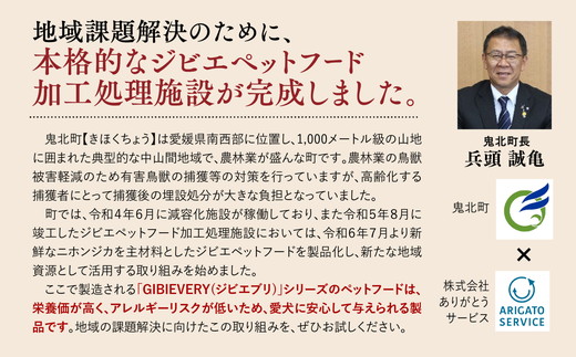 【GIBIEVERYシリーズ】ミンチ生肉 1kg（500g×2個） ｜ 犬用、ペットフード、おやつ、ジビエ、ペット、PET、赤身肉、カット、ミンチ、健康、栄養、高タンパク、低脂質、鉄分、ビタミン、通販、お取り寄せ、国産、愛媛、鬼北町、持続可能　※離島への配送不可