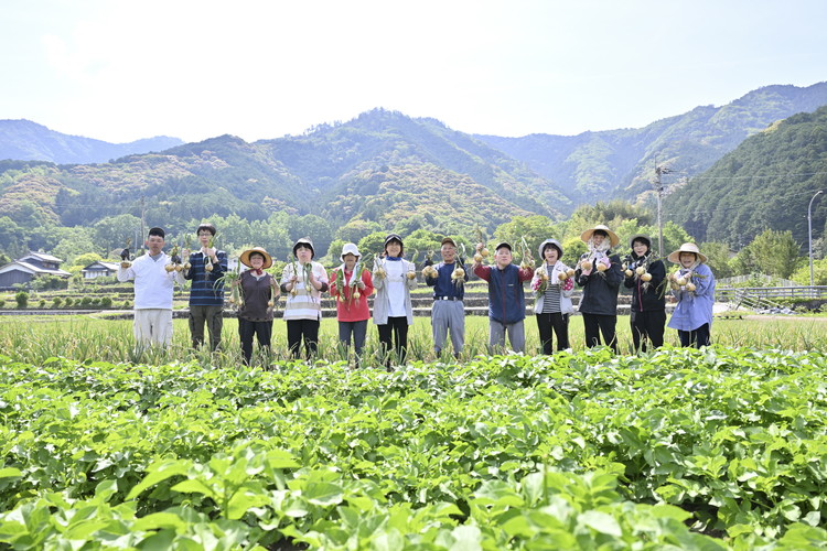 【個包装】干し芋 計1kg（約200g×5袋） ｜ 個包装 国産 サツマイモ さつまいも 紅はるか 保存料なし 添加物なし スイーツ 愛媛県 鬼北町 ほっとホット ※北海道・沖縄・離島への配送不可