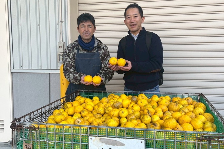 どぶとゆず 600ml×6本（計3.6L）｜ ふるさと納税 お酒 アルコール ドリンク おうち時間 BBQ 宅飲み 晩酌 お取り寄せ ギフト 父の日 母の日 柚子 ユズ ※離島への配送不可