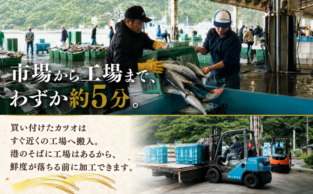 【訳あり】鰹のたたき 2.5kg │カツオのたたき かつお たたき 海鮮 魚 刺身 魚介類 katsuo katuo 鮮魚 有限会社 ハマスイ 愛南町 鬼北町