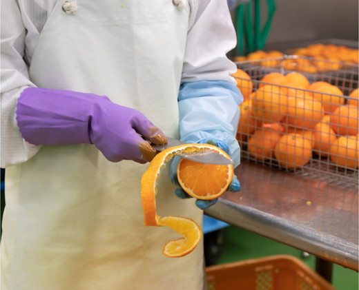 ゆずのす（柚子100％果汁）500ml×6本 | ゆず 果汁 柚子 原液 愛媛県鬼北町 いのすや