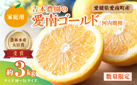 吉本農園の愛南ゴールド（河内晩柑）家庭用約3kg　＜柑橘 希少 果物 国産 フルーツ みかん 蜜柑  家庭用 和製 グレープフルーツ ブランド 果実 ビタミン 愛媛県 鬼北町＞ ※2024年4月上旬～8月上旬頃に順次発送予定