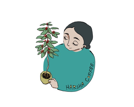 ããªããããã°ã³ãŒã㌠èš16åïŒ4çµµæÃå4åïŒ ïœ çç² ã³ãŒã㌠HARSHA COFFEE æåªç 鬌åçº â»åæµ·éã»æ²çžã»é¢å³¶ãžã®é
éäžå¯