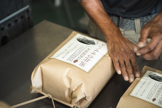 【R7年産】【自然環境米】鬼北のせせらぎ（コシヒカリ） 5kg ｜ お米 お米不足 お米品薄 おいしい お米 事業者支援 送料無料 白米 精米 国産 限定 ごはん ご飯 白飯 ゴハン 愛媛県産 鬼北町 ※2025年9月下旬頃より順次発送予定