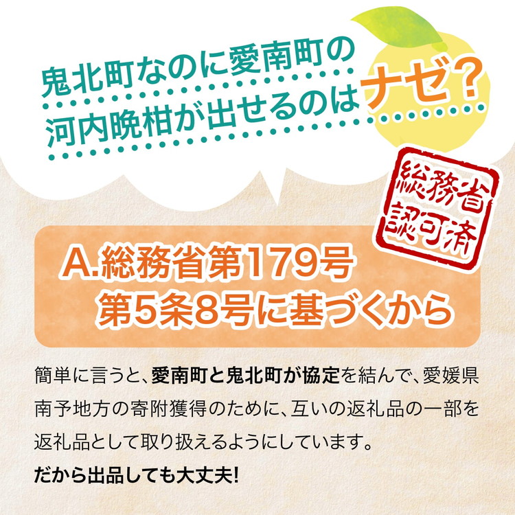 愛南産の河内晩柑10kg(約22～32個) ＜ 柑橘 希少 果物 国産 フルーツ みかん 蜜柑 和製 グレープフルーツ ブランド 愛媛 果実 ビタミン ＞ ※北海道・沖縄・離島への配送不可 ※2026年4月上旬～8月上旬頃に順次発送予定