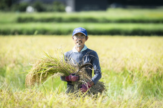 【R6年産新米】【先行予約】【鬼北町×愛媛県】鬼米×ひめの凜（プレミアムクオリティ）各5kgブランド米セット ｜ お米 お米不足 お米品薄 おいしい お米 事業者支援 送料無料 白米 精米 国産 限定 ごはん ご飯 白飯 ゴハン 愛媛県産 鬼北町 ※2024年11月上旬より順次発送予定 ＜米 コメ こめ 精米 お米 白米 ブランド米 コシヒカリ セット 一等米 愛媛県 鬼北町 ＞