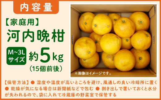 【先行予約】吉本農園の愛南ゴールド（河内晩柑）家庭用約5kg　＜柑橘 希少 果物 国産 フルーツ みかん 蜜柑  家庭用 和製 グレープフルーツ ブランド 果実 ビタミン 愛媛県 鬼北町 ＞ ※2025年4月上旬～8月上旬頃に順次発送予定