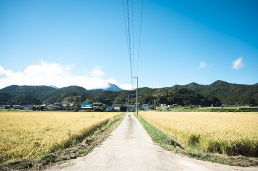 【R6年産新米】【先行予約】【鬼北町×愛媛県】鬼米×ひめの凜（プレミアムクオリティ）各5kgブランド米セット ｜ お米 お米不足 お米品薄 おいしい お米 事業者支援 送料無料 白米 精米 国産 限定 ごはん ご飯 白飯 ゴハン 愛媛県産 鬼北町 ※2024年11月上旬より順次発送予定 ＜米 コメ こめ 精米 お米 白米 ブランド米 コシヒカリ セット 一等米 愛媛県 鬼北町 ＞