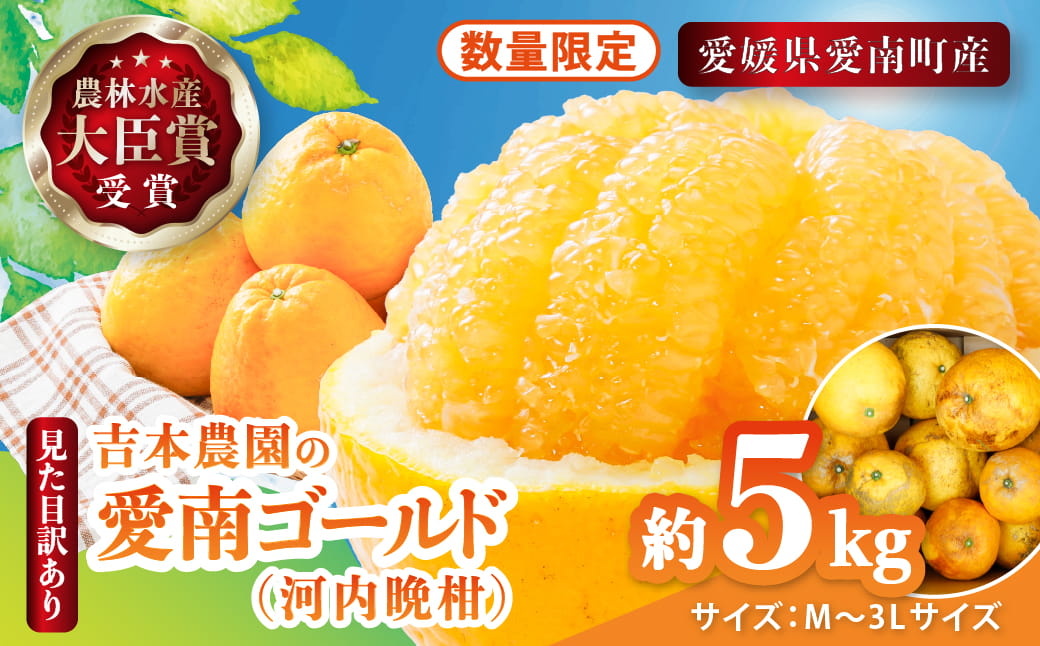 【先行予約】見た目だけが訳あり！吉本農園の木取り完熟愛南ゴールド（河内晩柑）約5kg＜柑橘 希少 果物 国産 フルーツ みかん 蜜柑 訳あり 家庭用 和製 グレープフルーツ ブランド 果実 ビタミン 愛媛県 鬼北町 ＞ ※2026年4月上旬～8月上旬頃に順次発送予定