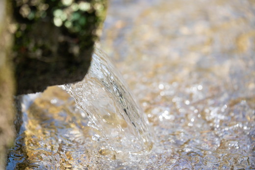 ããã«ããå°éåºåŸ¡çšéïŒãè€åããå®¶ã®ãã«ããŒã¯ã€ãŒã³5kgã什å7幎ç£ã ïœ ã飯 çœç±³ ãç±³ 5kg 什å7幎 å®æäŸ¿ 什å7å¹Žç£ ç²Ÿç±³æžã¿ æåªç鬌åçºãâ»2025幎9æäžæ¬é ããé æ¬¡çºéäºå®