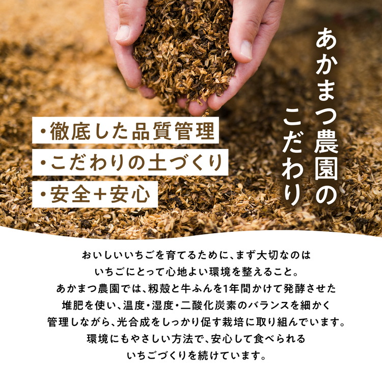 ã2026幎æ¥åç©«åããå
è¡äºçŽãçŽ
ã»ã£ãº 4ããã¯ïŒçŽ720gïŒ | ãã¡ã ã€ããŽ èº å€§çŠ ãžã£ã ã¿ã«ã ã¢ã€ã¹ ã±ãŒã ã®ãã ãããŸã€èŸ²å â»é¢å³¶ãžã®é
éäžå¯ â»2026幎2æäžæ¬é ããé æ¬¡çºéäºå®