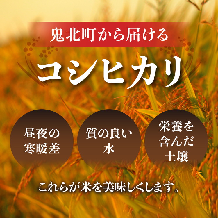 【R7年産新米】愛媛県産 コシヒカリ 5kg ｜ ご飯 白米 お米 令和7年産 5kg 10kg 20kg 精米済み ※2025年10月上旬～12月下旬頃に順次発送予定 ※離島への配送不可