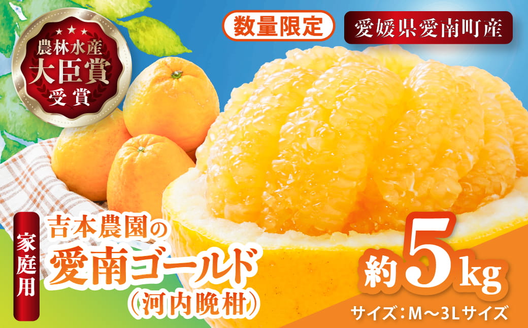 【先行予約】吉本農園の愛南ゴールド（河内晩柑）家庭用約5kg　＜柑橘 希少 果物 国産 フルーツ みかん 蜜柑  家庭用 和製 グレープフルーツ ブランド 果実 ビタミン 愛媛県 鬼北町 ＞ ※2026年4月上旬～8月上旬頃に順次発送予定