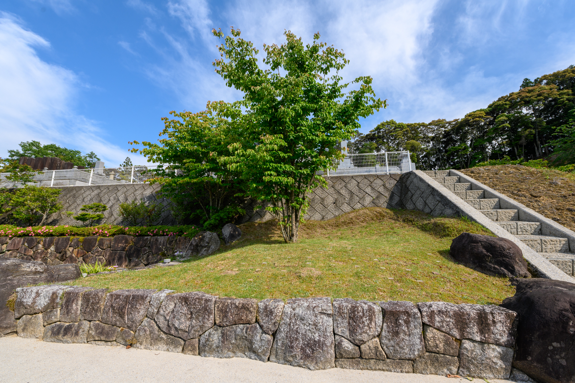 【四国初の樹木葬】奈良山霊苑 樹木葬（お一人様）第一期　普通区画【永代供養 樹木葬 墓じまい 合祀 納骨 お墓 供養 愛媛県 鬼北町 山下石材】