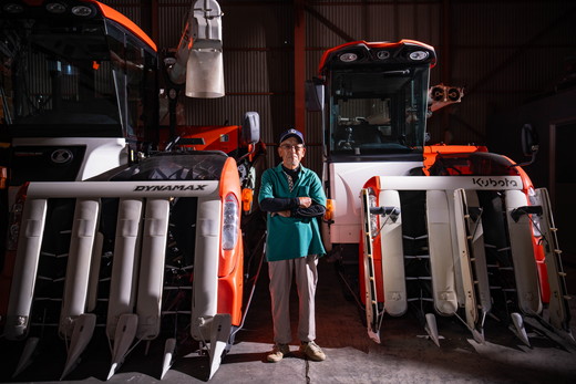 ããã«ããå°éåºåŸ¡çšéïŒãè€åããå®¶ã®ãã«ããŒã¯ã€ãŒã³5kgã什å7幎ç£ã ïœ ã飯 çœç±³ ãç±³ 5kg 什å7幎 å®æäŸ¿ 什å7å¹Žç£ ç²Ÿç±³æžã¿ æåªç鬌åçºãâ»2025幎9æäžæ¬é ããé æ¬¡çºéäºå®