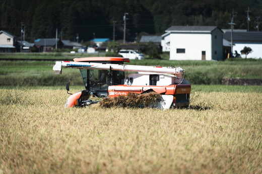 【R6年産新米】【先行予約】【鬼北町×愛媛県】鬼米×ひめの凜（プレミアムクオリティ）各5kgブランド米セット ｜ お米 お米不足 お米品薄 おいしい お米 事業者支援 送料無料 白米 精米 国産 限定 ごはん ご飯 白飯 ゴハン 愛媛県産 鬼北町 ※2024年11月上旬より順次発送予定 ＜米 コメ こめ 精米 お米 白米 ブランド米 コシヒカリ セット 一等米 愛媛県 鬼北町 ＞