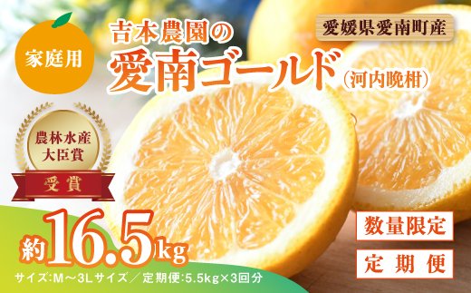 河内晩柑３回お届け定期便／家庭用愛南ゴールド 5.5kg×3回＜柑橘 希少 果物 国産 フルーツ みかん 蜜柑 定期便 家庭用 和製 グレープフルーツ ブランド 果実 ビタミン 愛媛県 鬼北町 ＞ ※2024年4月上旬～8月上旬頃に順次発送予定