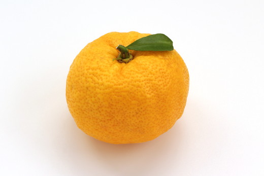 ゆずのす（柚子100％果汁）500ml×6本 | ゆず 果汁 柚子 原液 愛媛県鬼北町 いのすや