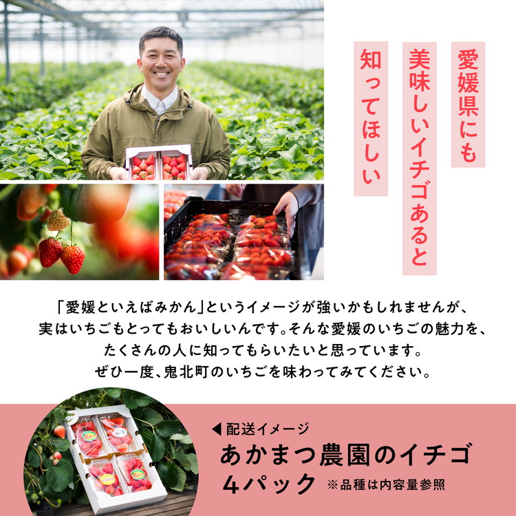 ã2026幎æ¥åç©«åããå
è¡äºçŽãçŽ
ã»ã£ãº 4ããã¯ïŒçŽ720gïŒ | ãã¡ã ã€ããŽ èº å€§çŠ ãžã£ã ã¿ã«ã ã¢ã€ã¹ ã±ãŒã ã®ãã ãããŸã€èŸ²å â»é¢å³¶ãžã®é
éäžå¯ â»2026幎2æäžæ¬é ããé æ¬¡çºéäºå®