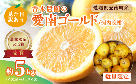 見た目だけが訳あり！吉本農園の木取り完熟愛南ゴールド（河内晩柑）約5kg＜柑橘 希少 果物 国産 フルーツ みかん 蜜柑 訳あり 家庭用 和製 グレープフルーツ ブランド 果実 ビタミン 愛媛県 鬼北町 ＞ ※2024年4月上旬～8月上旬頃に順次発送予定