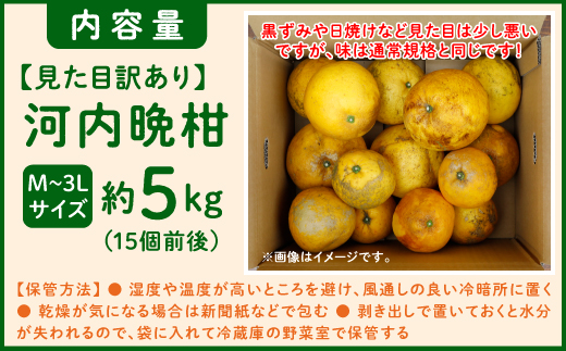 【先行予約】見た目だけが訳あり！吉本農園の木取り完熟愛南ゴールド（河内晩柑）約5kg＜柑橘 希少 果物 国産 フルーツ みかん 蜜柑 訳あり 家庭用 和製 グレープフルーツ ブランド 果実 ビタミン 愛媛県 鬼北町 ＞ ※2025年4月上旬～8月上旬頃に順次発送予定