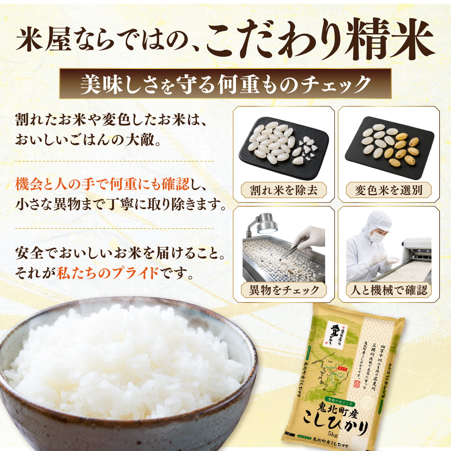 【先行予約】【令和8年産】鬼北町産 中平ファーム こしひかり 5kg 【米屋仕上げ】| R8年産 新米 精米 白米 ご飯 米 コシヒカリ お米のまつや 株式会社ドイ 愛媛県鬼北町