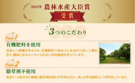 【先行予約】吉本農園の愛南ゴールド（河内晩柑）家庭用約3kg　＜柑橘 希少 果物 国産 フルーツ みかん 蜜柑  家庭用 和製 グレープフルーツ ブランド 果実 ビタミン 愛媛県 鬼北町＞ ※2025年4月上旬～8月上旬頃に順次発送予定