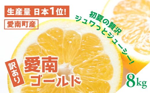 【訳あり】愛南ゴールド（河内晩柑）8kg | 柑橘 訳あり 詰め合わせ 家庭用 みかん かわちばんかん 果物 ジューシー ジュースみたいな果汁 鬼北町 愛南町 箱 送料無料 デザート ※北海道・沖縄・離島への配送不可 ※2026年4月上旬頃より順次発送予定