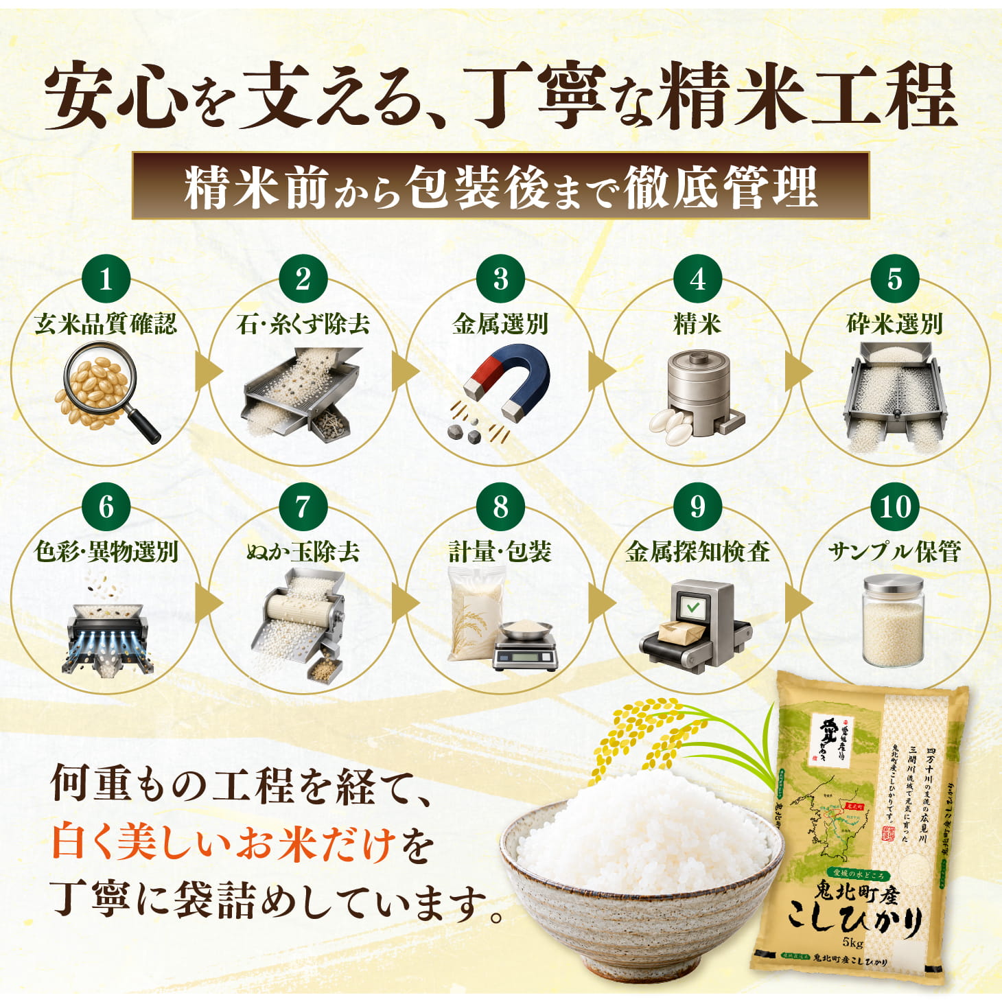 【先行予約】【令和8年産】鬼北町産 中平ファーム こしひかり 5kg 【米屋仕上げ】| R8年産 新米 精米 白米 ご飯 米 コシヒカリ お米のまつや 株式会社ドイ 愛媛県鬼北町