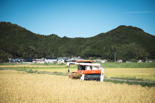 【令和6年産】【自然環境米】鬼北のせせらぎ2kg×6袋セット（鬼北産コシヒカリ） ｜ お米 お米不足 お米品薄 おいしい お米 事業者支援 送料無料 白米 精米 国産 限定 ごはん ご飯 白飯 ゴハン 愛媛県産 鬼北町＜米 コメ こめ 精米 お米 白米  コシヒカリ 環境に優しい こだわり 持続可能 愛媛県 鬼北町 ＞