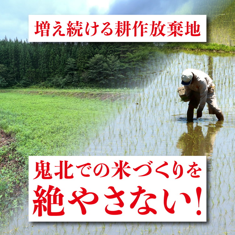 【R7年産新米】愛媛県産 コシヒカリ 5kg ｜ ご飯 白米 お米 令和7年産 5kg 10kg 20kg 精米済み ※2025年10月上旬～12月下旬頃に順次発送予定 ※離島への配送不可