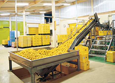 ゆずのす（柚子100％果汁）500ml×6本 | ゆず 果汁 柚子 原液 愛媛県鬼北町 いのすや