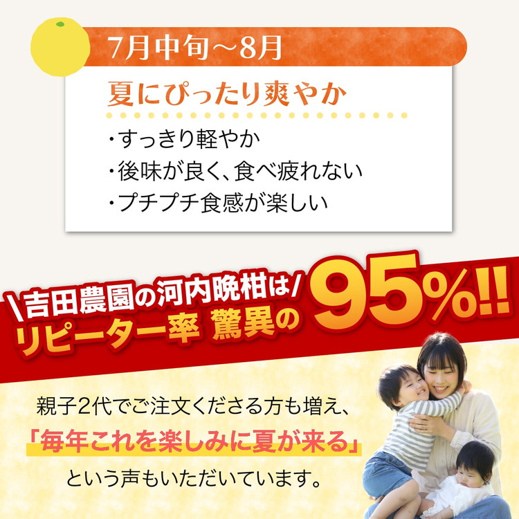 訳あり 河内晩柑5kg（家庭用） ＜ 柑橘 希少 果物 国産 フルーツ みかん 蜜柑 訳あり 家庭用 和製 グレープフルーツ ブランド 愛媛 果実 ビタミン ＞ ※2026年4月上旬～8月上旬頃に順次発送予定