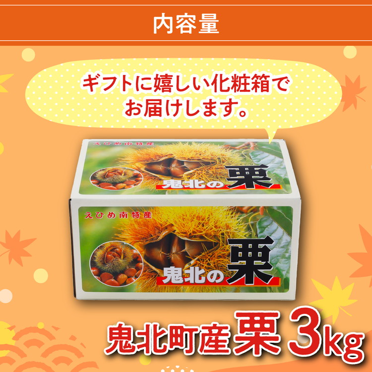 ãé¬Œã®æ æŸãã鬌åçºç£ãã çŽ3kg ïœ å€§ç² çæ åæ åœç£æ å°åéå® äž¹æ³¢æ ãã æ æ ã飯 çæ æç© ãã«ãŒã å
è¡äºçŽ æ°ééå® JA ãã²ãå蟲æ¥ååçµå â»2026幎9æïœçºé