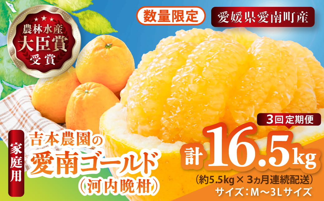 【先行予約】河内晩柑３回お届け定期便／家庭用愛南ゴールド 5.5kg×3回＜柑橘 希少 果物 国産 フルーツ みかん 蜜柑 定期便 家庭用 和製 グレープフルーツ ブランド 果実 ビタミン 愛媛県 鬼北町 ＞ ※2026年4月上旬～8月上旬頃に順次発送予定
